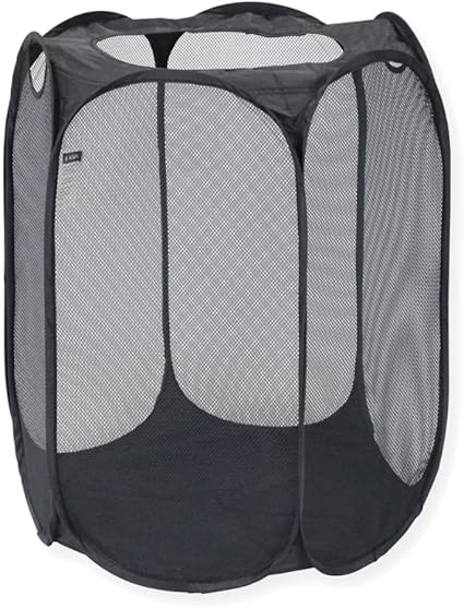 B075WNHSHR-019b274d-2e06-490c-a8c8-d31cf1ec6c86